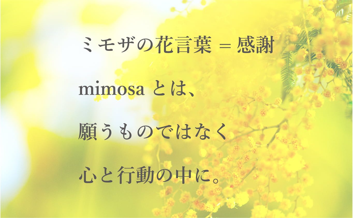 ミモザの花言葉 =感謝 mimosaとは、願うものではなく心と行動の中に。