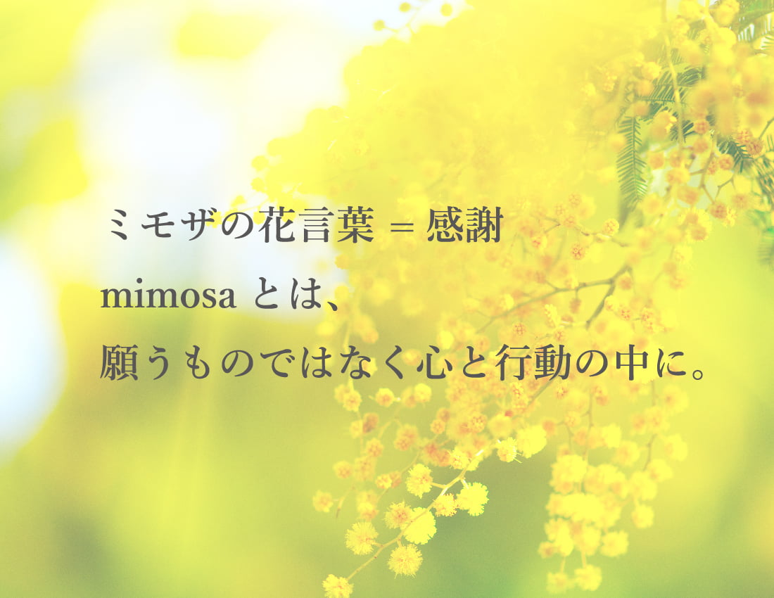 ミモザの花言葉 =感謝 mimosaとは、願うものではなく心と行動の中に。